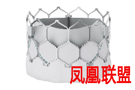 植入物会显著影响血流流速和阻力吗？